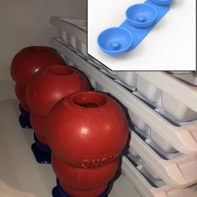 Khay giữ Kong cho chó – Kong Dog Tray Treat Freezer