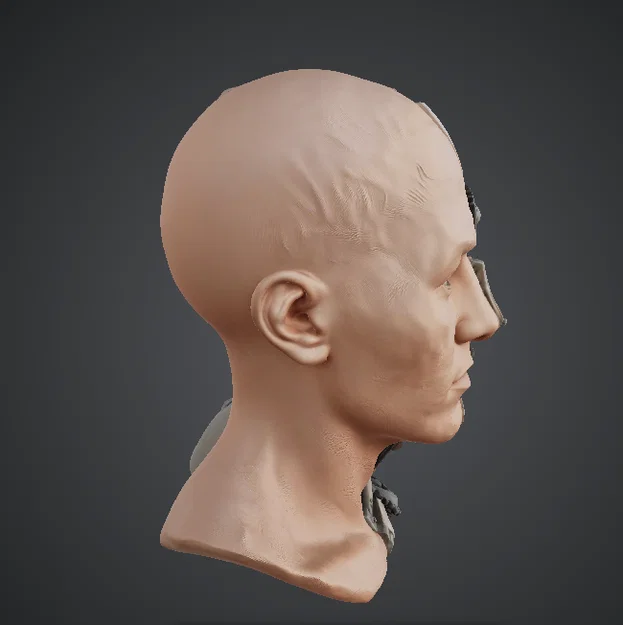 Tượng Bán Thân Nửa Người Nửa Máy – Khuôn Mặt Chia Đôi Cybernetic Sci‑Fi - Image 3