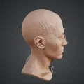 Tượng Bán Thân Nửa Người Nửa Máy – Khuôn Mặt Chia Đôi Cybernetic Sci‑Fi - Thumbnail 3