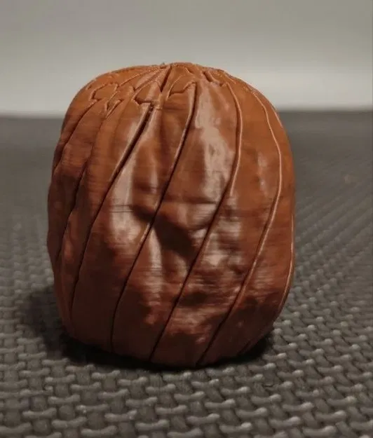 Hạt Óc Chó Fidget Mở Rộng – Đồ Chơi Giảm Stress Có Khớp (Articulated) - Image 1