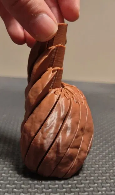 Hạt Óc Chó Fidget Mở Rộng – Đồ Chơi Giảm Stress Có Khớp (Articulated) - Image 2