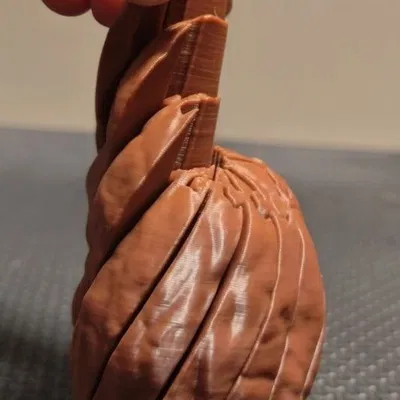 Hạt Óc Chó Fidget Mở Rộng – Đồ Chơi Giảm Stress Có Khớp (Articulated)