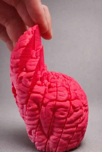 Fidget “Não” Organic Mở Rộng – Đồ Chơi Khớp Trừu Tượng Giảm Stress - Image 2