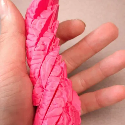 Fidget “Não” Organic Mở Rộng – Đồ Chơi Khớp Trừu Tượng Giảm Stress