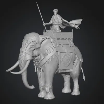 Vua Sa Mạc Cưỡi Voi (Desert King on an Elephant)