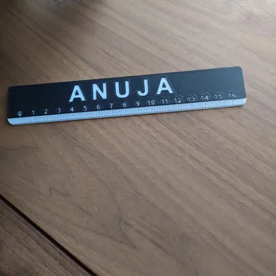 Ruler_Anuja (Thước 16 cm)
