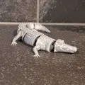 Cá sấu khớp nối (Articulated Crocodile) - Thumbnail 2