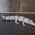Cá sấu khớp nối (Articulated Crocodile) - Thumbnail 4