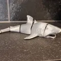 Cá mập khớp (Articulated Shark) - Thumbnail 2