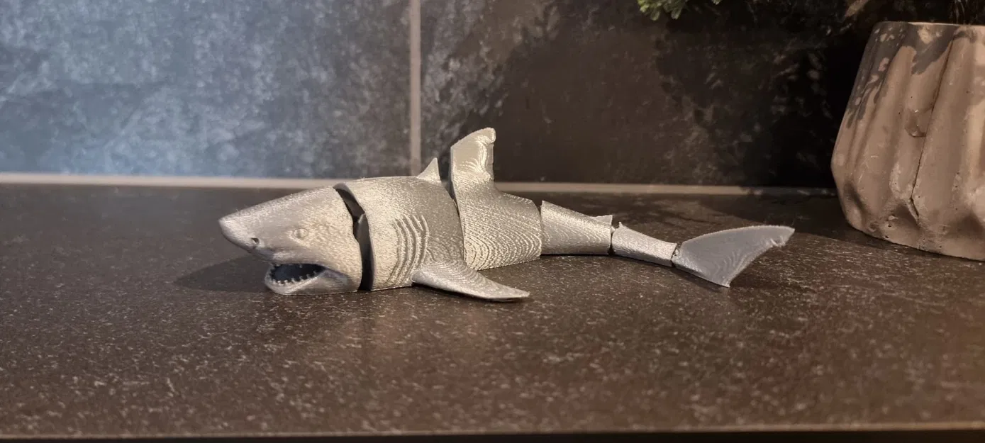 Cá mập khớp (Articulated Shark) - Image 3
