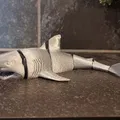 Cá mập khớp (Articulated Shark) - Thumbnail 3