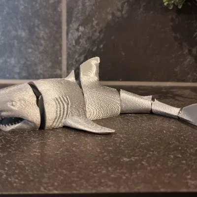 Cá mập khớp (Articulated Shark)