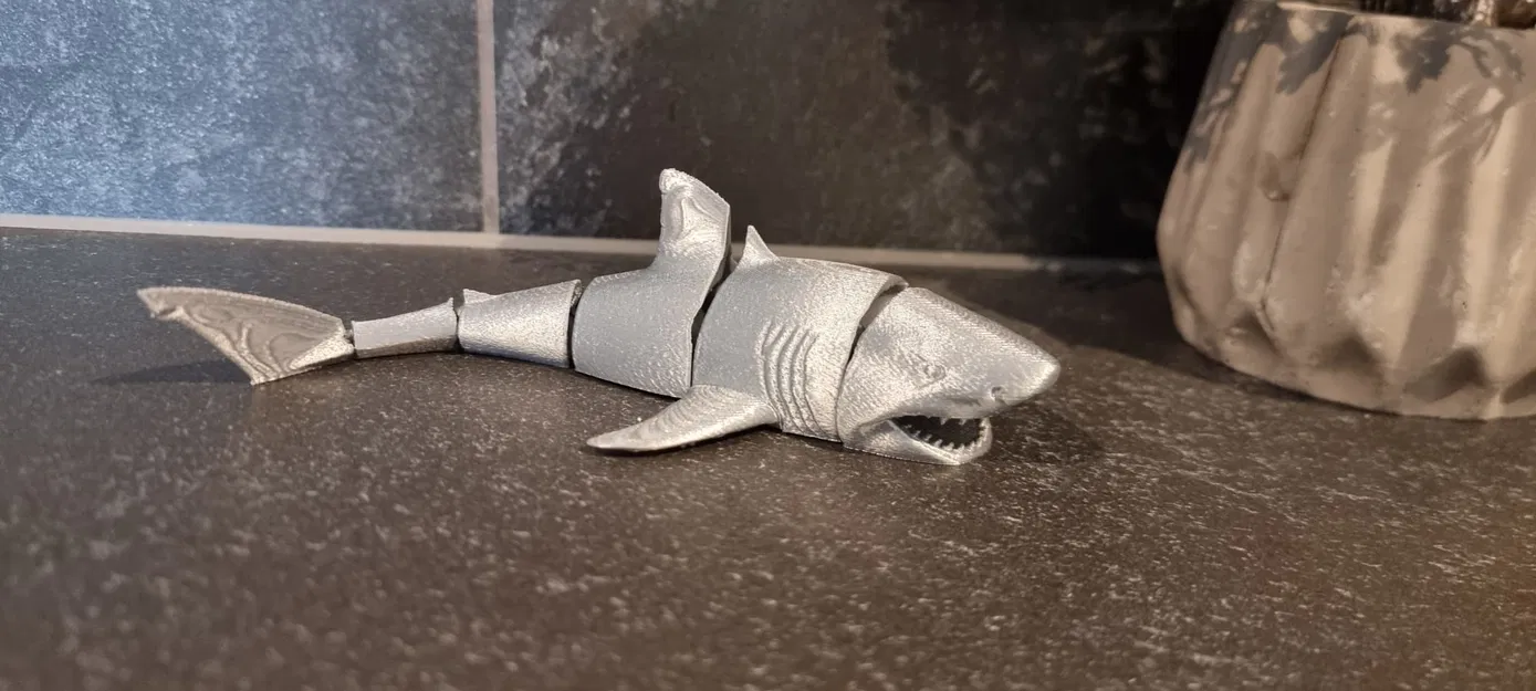 Cá mập khớp (Articulated Shark) - Image 4