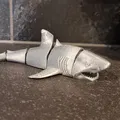 Cá mập khớp (Articulated Shark) - Thumbnail 4