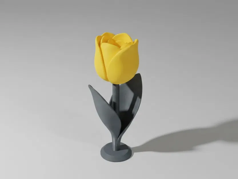 Tulip Cách Điệu (Stylized TULIP) - Image 2