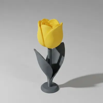 Tulip Cách Điệu (Stylized TULIP)