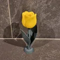 Tulip Cách Điệu (Stylized TULIP) - Thumbnail 3