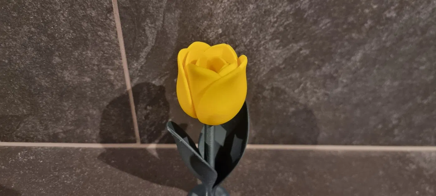 Tulip Cách Điệu (Stylized TULIP) - Image 4