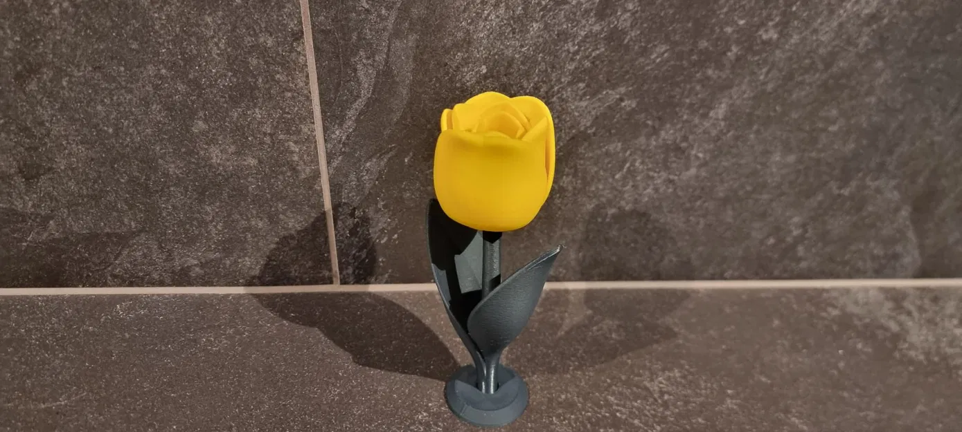 Tulip Cách Điệu (Stylized TULIP) - Image 5