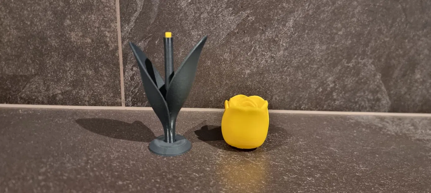 Tulip Cách Điệu (Stylized TULIP) - Image 6