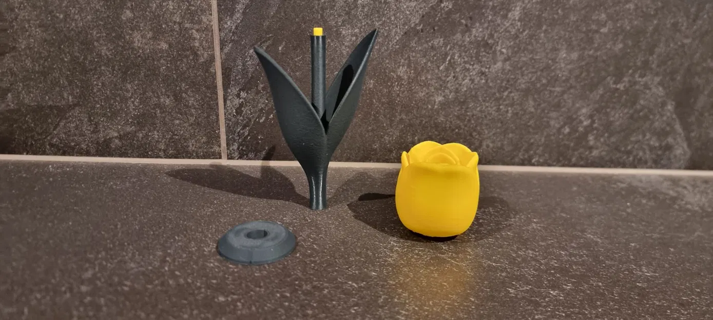 Tulip Cách Điệu (Stylized TULIP) - Image 7