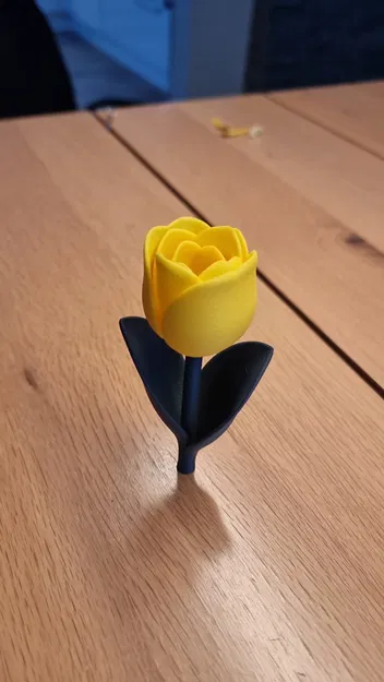 Tulip Cách Điệu (Stylized TULIP) - Image 8