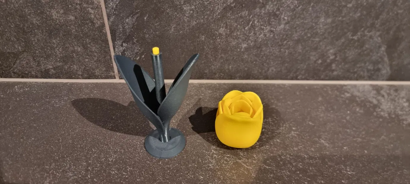 Tulip Cách Điệu (Stylized TULIP) - Image 10