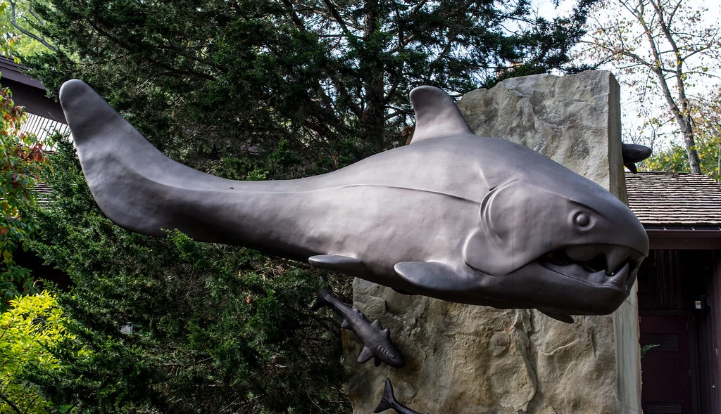 Tượng dunkleosteus tại Rocky River Nature Center - Image 1