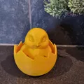 Gà con trong vỏ trứng (Chick in eggshell) - Thumbnail 1