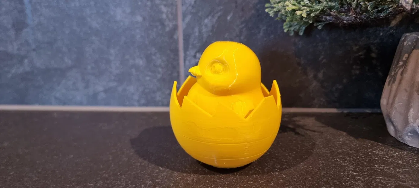 Gà con trong vỏ trứng (Chick in eggshell) - Image 3