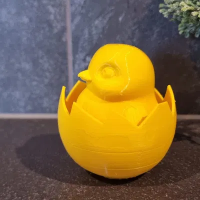 Gà con trong vỏ trứng (Chick in eggshell)