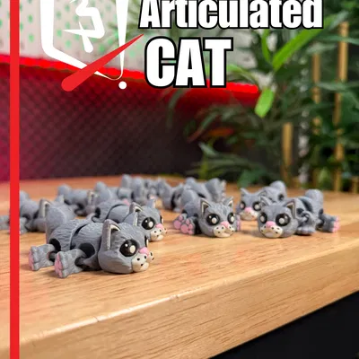 Mèo Khớp Nối — Người Bạn Đồng Hành “Purr-fect”