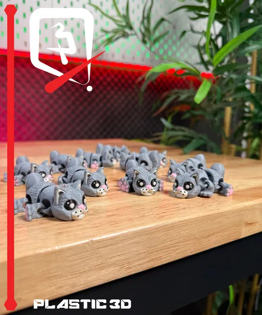 Mèo Khớp Nối — Người Bạn Đồng Hành “Purr-fect” - Image 7