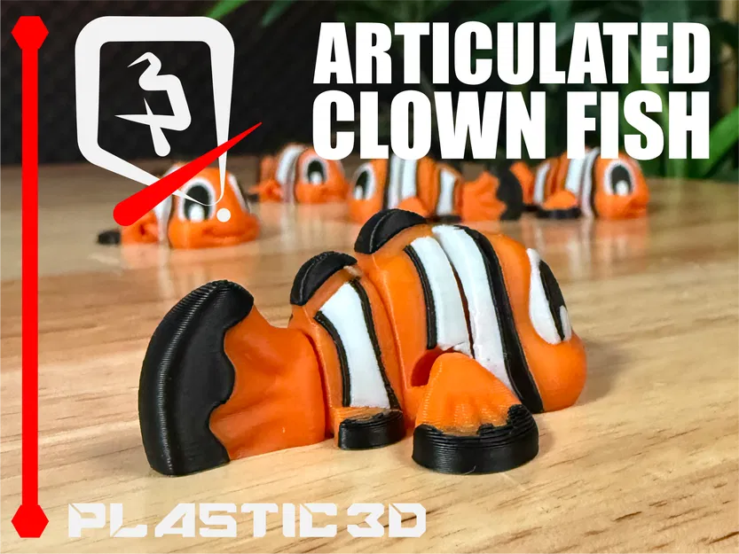 Cá Hề Khớp Nối — “Tay Bơi” Nhỏ Rực Rỡ Nhất Rạn San Hô - Image 2