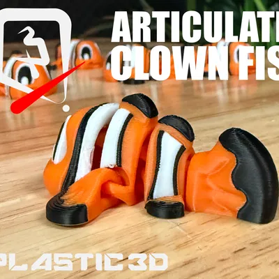 Cá Hề Khớp Nối — “Tay Bơi” Nhỏ Rực Rỡ Nhất Rạn San Hô