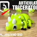 Triceratops Khớp Nối — Bé Khủng Long Ba Sừng Lắc Lư Hầm Hố - Thumbnail 5