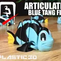Cá Blue Tang Khớp Nối — Kình Ngư Biển Sâu - Thumbnail 1