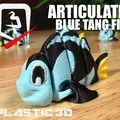 Cá Blue Tang Khớp Nối — Kình Ngư Biển Sâu - Thumbnail 4
