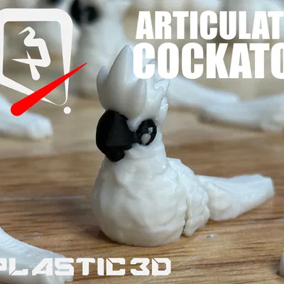 Vẹt Cockatoo Khớp Nối - Phi Công Nhiệt Đới