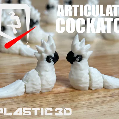 Vẹt Cockatoo Khớp Nối - Phi Công Nhiệt Đới