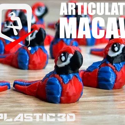 Vẹt Macaw Khớp Nối – Phi Công Nhiệt Đới