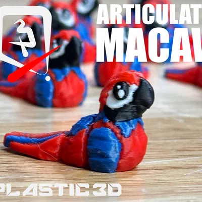 Vẹt Macaw Khớp Nối – Phi Công Nhiệt Đới