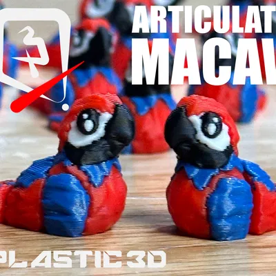 Vẹt Macaw Khớp Nối – Phi Công Nhiệt Đới