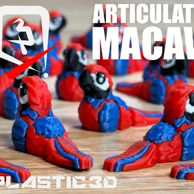 Vẹt Macaw Khớp Nối – Phi Công Nhiệt Đới