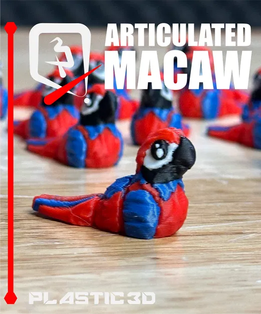 Vẹt Macaw Khớp Nối – Phi Công Nhiệt Đới - Image 6