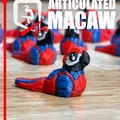 Vẹt Macaw Khớp Nối – Phi Công Nhiệt Đới - Thumbnail 6