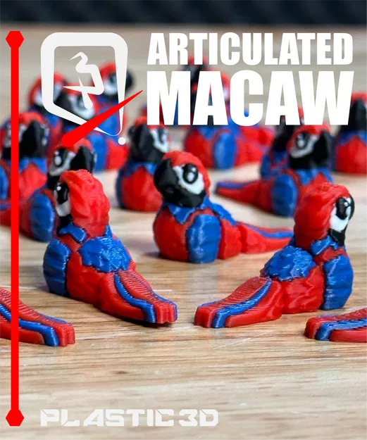 Vẹt Macaw Khớp Nối – Phi Công Nhiệt Đới - Image 7