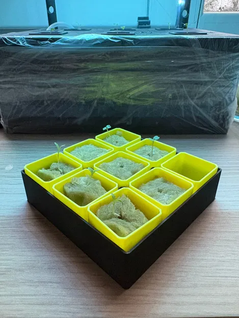 Mini Seedling Starter – Tùy chỉnh hoàn toàn - Image 1