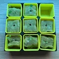 Mini Seedling Starter – Tùy chỉnh hoàn toàn - Thumbnail 2