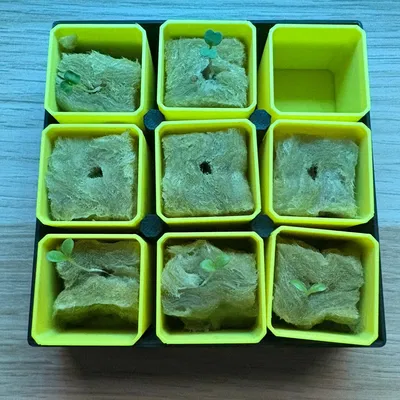 Mini Seedling Starter – Tùy chỉnh hoàn toàn